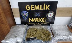 Bursa’da narkotik operasyonu: 3 kilo 700 gram esrar ele geçirildi