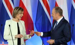 İzlanda AB üyeliği için referanduma gidiyor