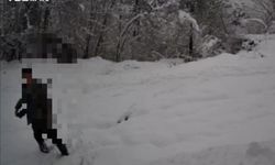 Yasadışı avcılık fotokapana yakalandı