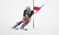 Alp disiplini nedir? Alp disiplini hakkında merak edilenler