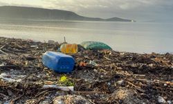 Bodrum’da sel sonrası büyük maddi hasar oluştu