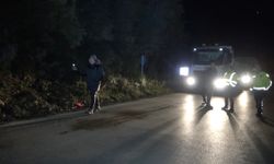 Mudanya’da toprak kayması: Yol trafiğe kapatıldı