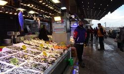 Yerli hamsi tezgâhlara döndü