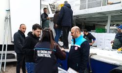 Kırklareli'de hamsi sevkiyatına sıkı kontrol