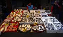 Karadeniz’de sezon sonu hamsi bolluğu şaşırttı