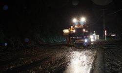 Ordu’da yağış heyelanlara yol açtı: Sahil yolu kapandı