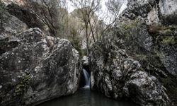 Kıbrıs Vadisi söyleşisi Ankara Kent Konseyi’nde