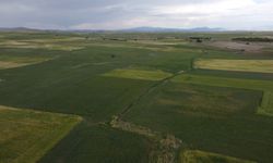 Konya Alacabel'de 4 günde 100 kilogram yağış ölçüldü