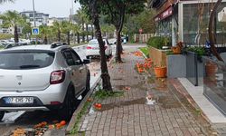 Manavgat’ta fırtına turunçları yollara savurdu