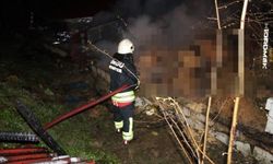 Ordu Ünye’de ahır yangını: 27 büyükbaş telef oldu