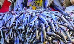Ramazan’da balık satışları artışa geçti