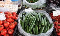 Muğla’da salatalık fiyatları rekor kırdı