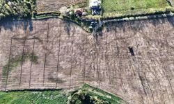 Samsun’dan Türkiye’ye 1,25 milyon fidanlık nefes