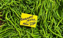 Sel vurdu, sebze fiyatları uçtu: Sivri biber 250 lira oldu