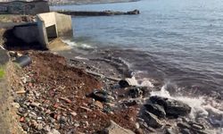 Tekirdağ'da sahil şeridi kızıl yosunlarla dikkat çekti
