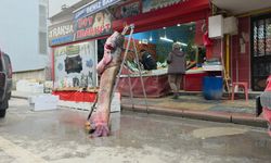 Edirne’de 2,40 metrelik ve 102 kiloluk yayın balığı şaşkınlık yarattı