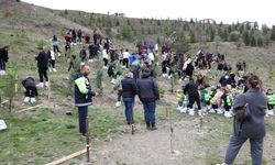 Mamak’ta yeşil gelecek için fidan seferberliği