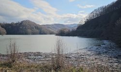 Zonguldak’ta 18 yıllık sır ölüm çözüldü: 4 şüpheliye müebbet