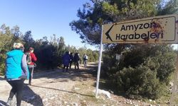 2 bin 300 yıllık Amyzon Antik Kenti kazı bekliyor