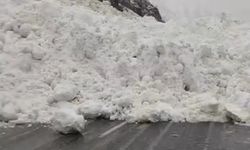 Hakkari-Çukurca yolunda çığ nedeniyle ulaşım kesildi, sürücüler mahsur kaldı