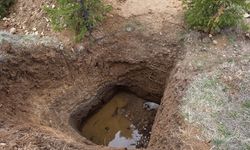 Akyurt'ta kaçak kazı çukuruna düşen köpek kurtarıldı