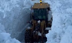 Bitlis’te çığ: Karbastı köy yolu kapandı