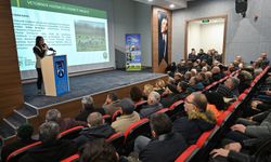 Çubuk’ta arıcılara koloni yönetimi eğitimi