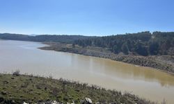 Denizli Derbent Barajı son yılların en yüksek seviyesinde
