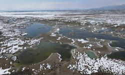 Ekşisu Kuş Cenneti’nde kuşların uçuşu görüntülendi