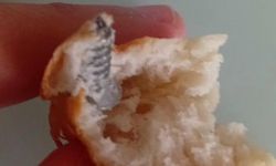 Elazığ’da ekmeğin içinden vida çıktı