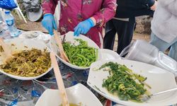 Erzin’de Ot Festivali yağmur nedeniyle yarıda kaldı