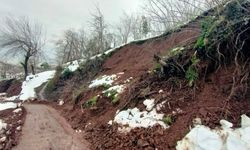 Fatsa’da sağanak sonrası 92 noktada heyelan
