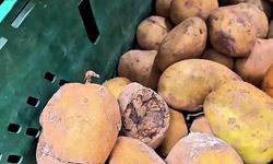 Gebze’deki market denetimlerinde skandal görüntüler