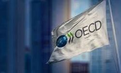 OECD Türkiye raporu: Enflasyon yukarı, büyüme aşağı