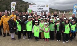 Karadeniz’de yangınlara havadan müdahale dönemi