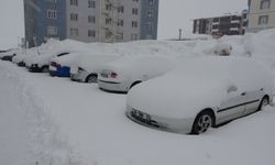 Bitlis’te kar kalınlığı 50 santimetreye ulaştı