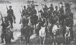 Milis ne demek? Ne anlama geliyor?