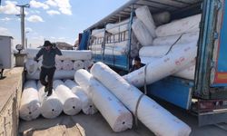 Sultaniye Üzüm Bağları dolu filesiyle korunuyor