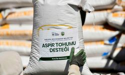 Şereflikoçhisar’da çiftçilere aspir tohumu desteği
