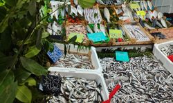 Balık satış noktalarında sıkı kontrol