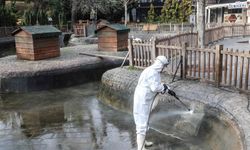 Kuğulupark’ta ozonlu temizlik çalışması