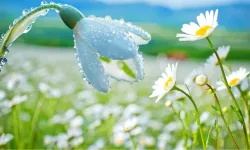 Üçüncü cemre toprağa ne zaman düşecek?