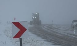 Van’da kar ve sis hayatı felç etti