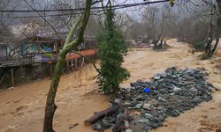 Yalova’da taşkın felaketi: Hayvanlar sele kapıldı