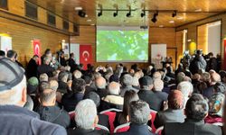 Yenice ıhlamur balı dünya pazarına hazırlanıyor