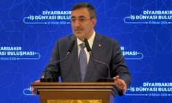 Cevdet Yılmaz: Demokratik standartlar silah bırakmanın şartı olamaz