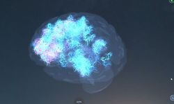 Uzmandan uyarı: Dijital şiddet çocuklarda gerçek hayata yansıyabilir