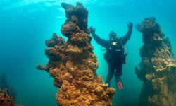 Van Gölü’ndeki mikrobiyalitler dünya rekoru yolunda