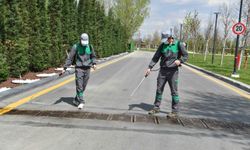 Ankara’da 7/24 haşere ilaçlama çalışması başlatıldı