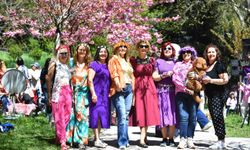 Ankara’da Sakura Şenliği ile bahar karşılandı